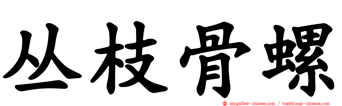 丛枝骨螺