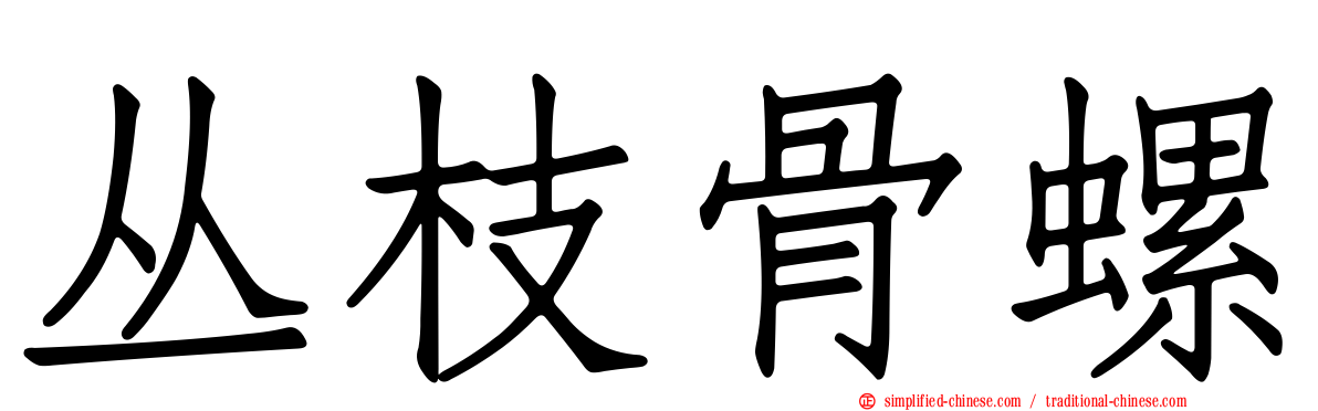 丛枝骨螺