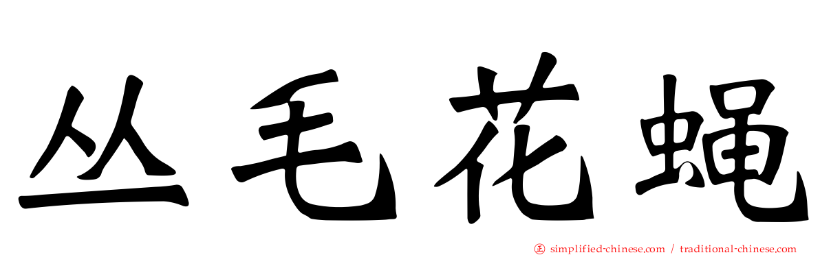 丛毛花蝇