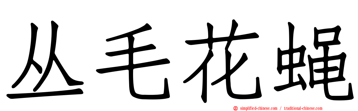 丛毛花蝇