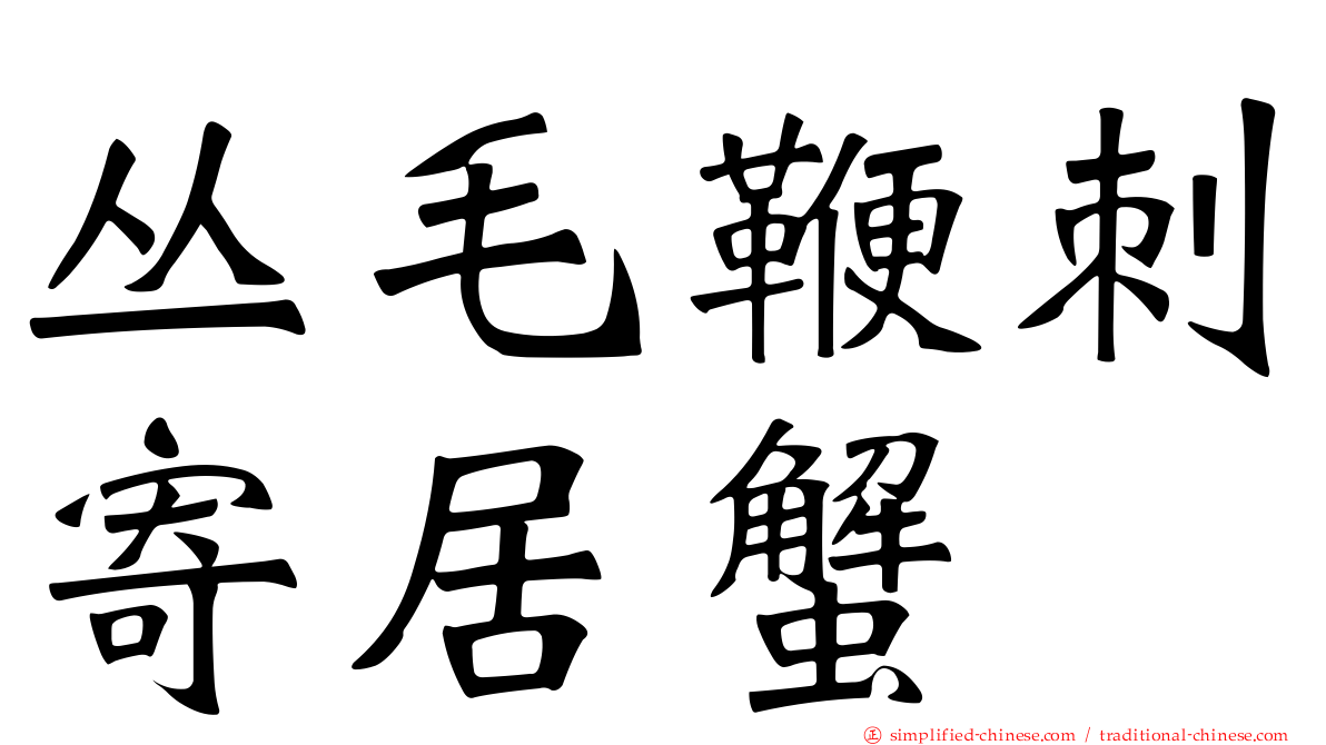丛毛鞭刺寄居蟹