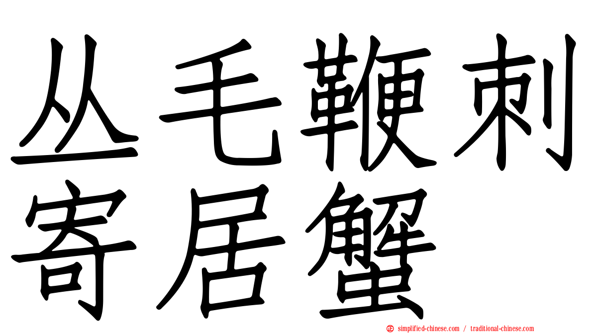 丛毛鞭刺寄居蟹