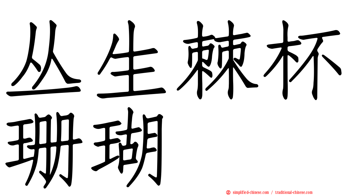 丛生棘杯珊瑚