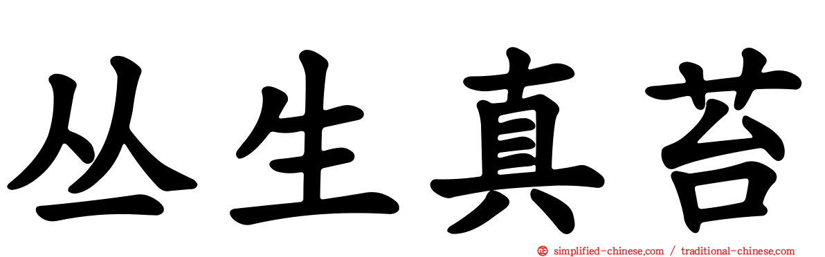 丛生真苔