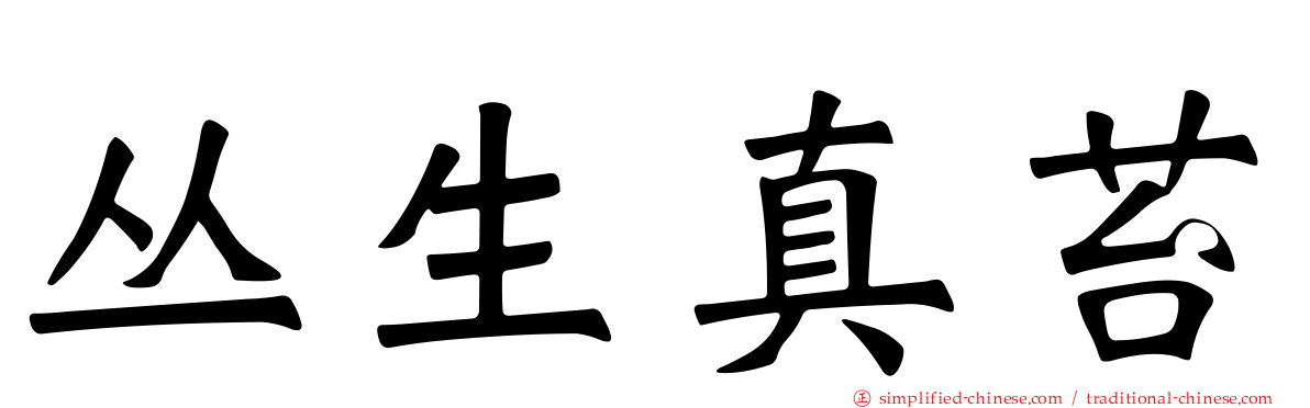丛生真苔