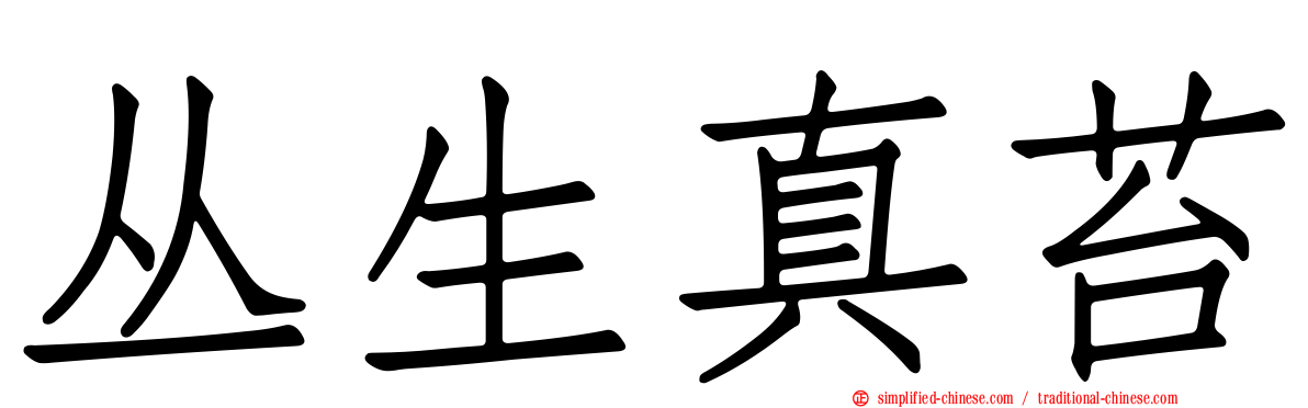 丛生真苔