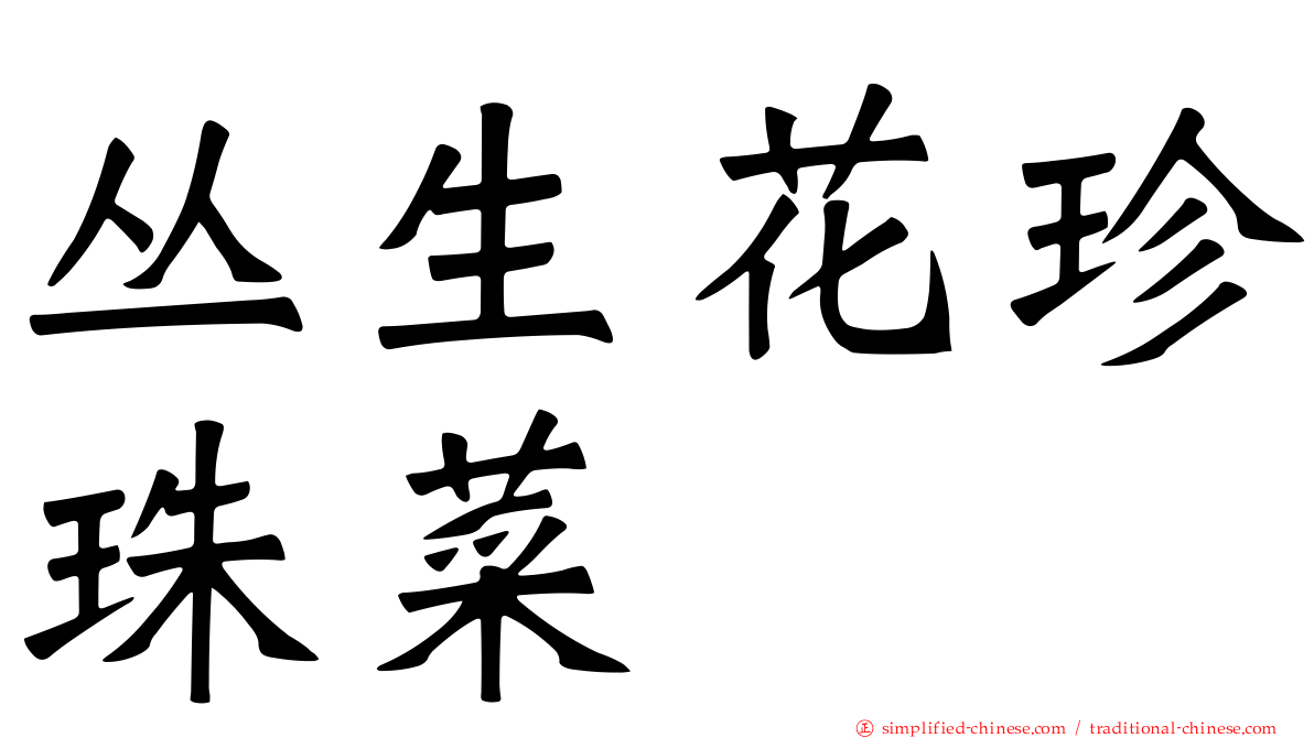 丛生花珍珠菜