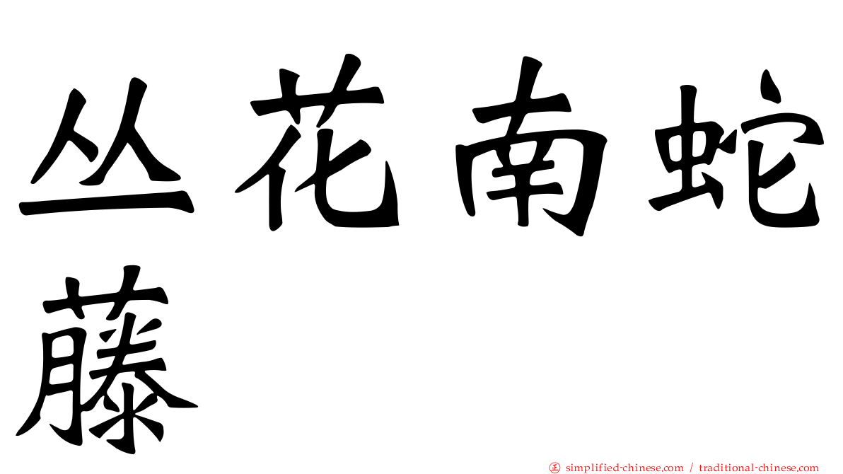 丛花南蛇藤