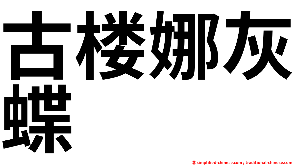 古楼娜灰蝶