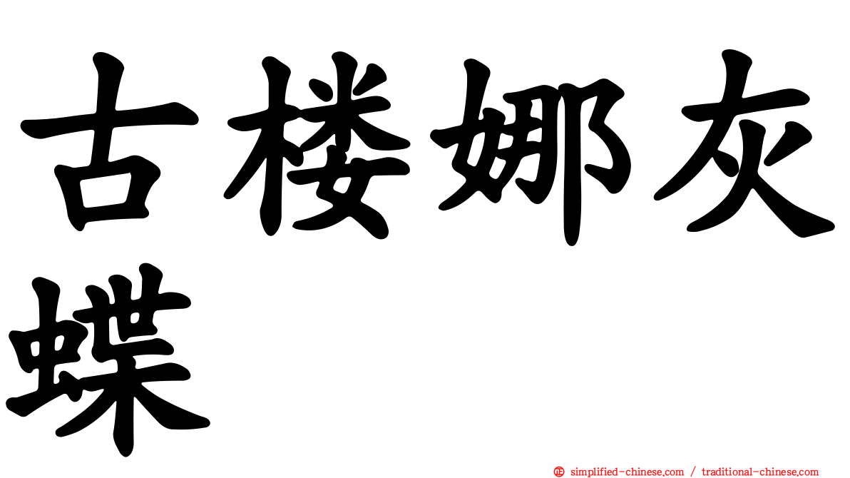 古楼娜灰蝶