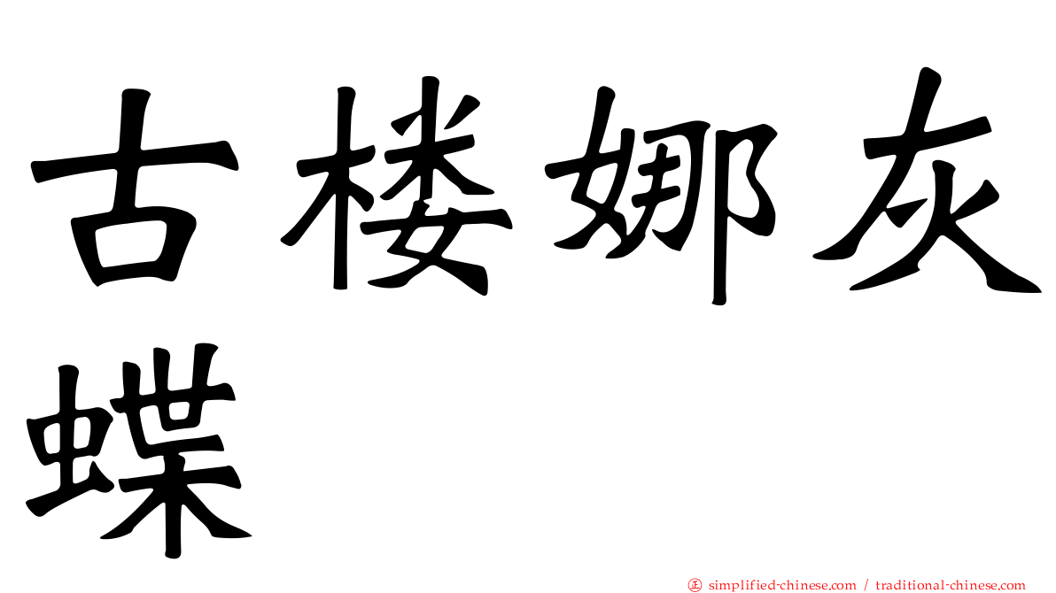古楼娜灰蝶