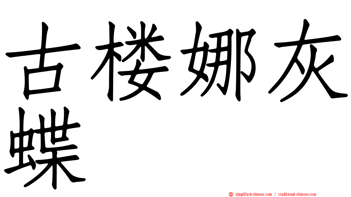 古楼娜灰蝶