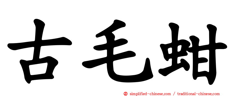 古毛蚶