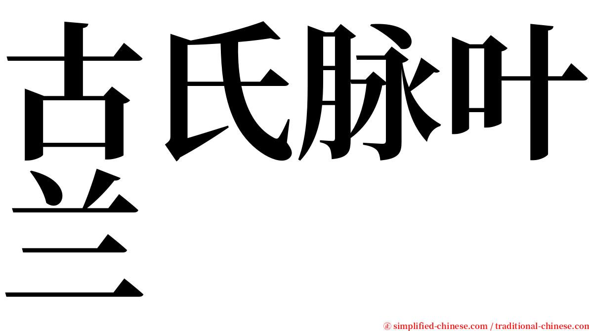 古氏脉叶兰 serif font