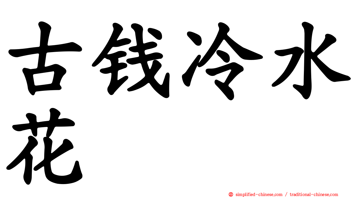 古钱冷水花