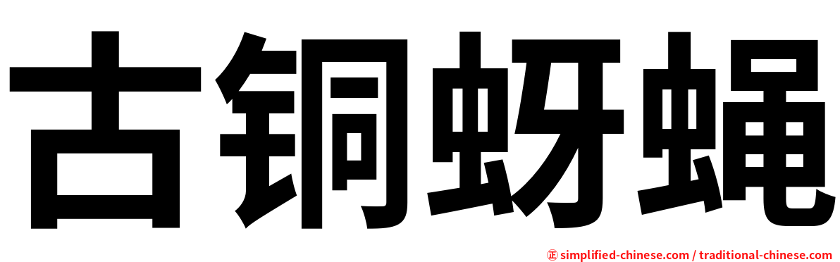 古铜蚜蝇