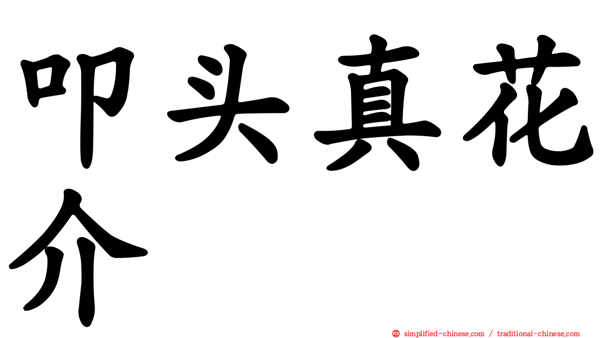 叩头真花介