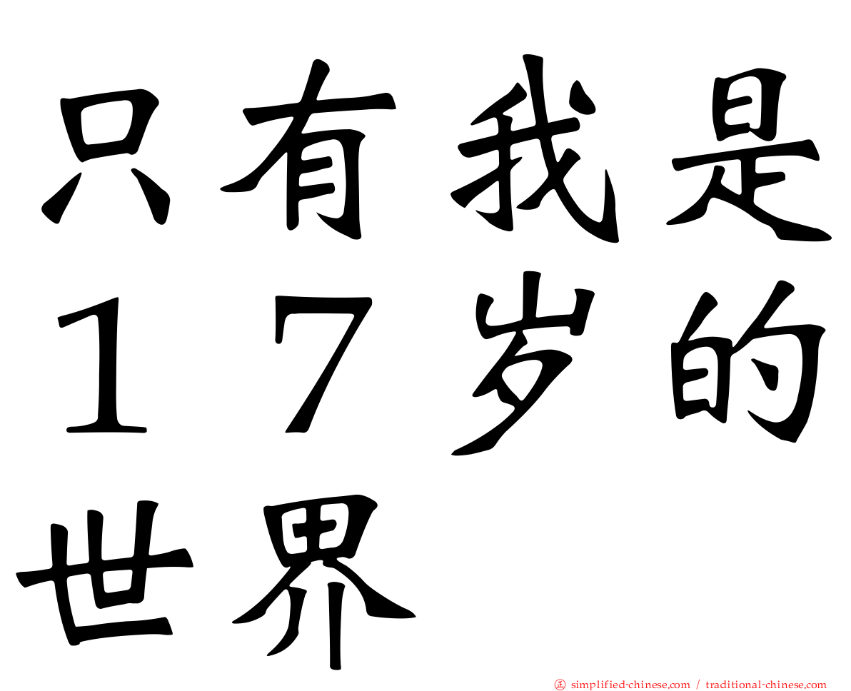只有我是１７岁的世界