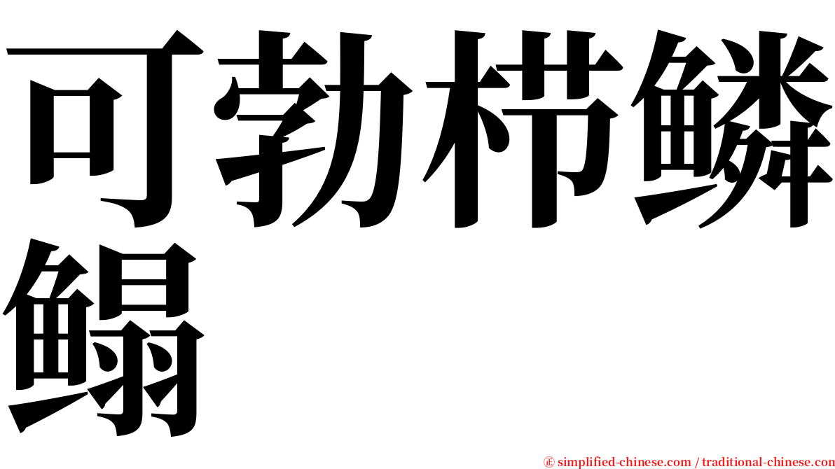 可勃栉鳞鳎 serif font