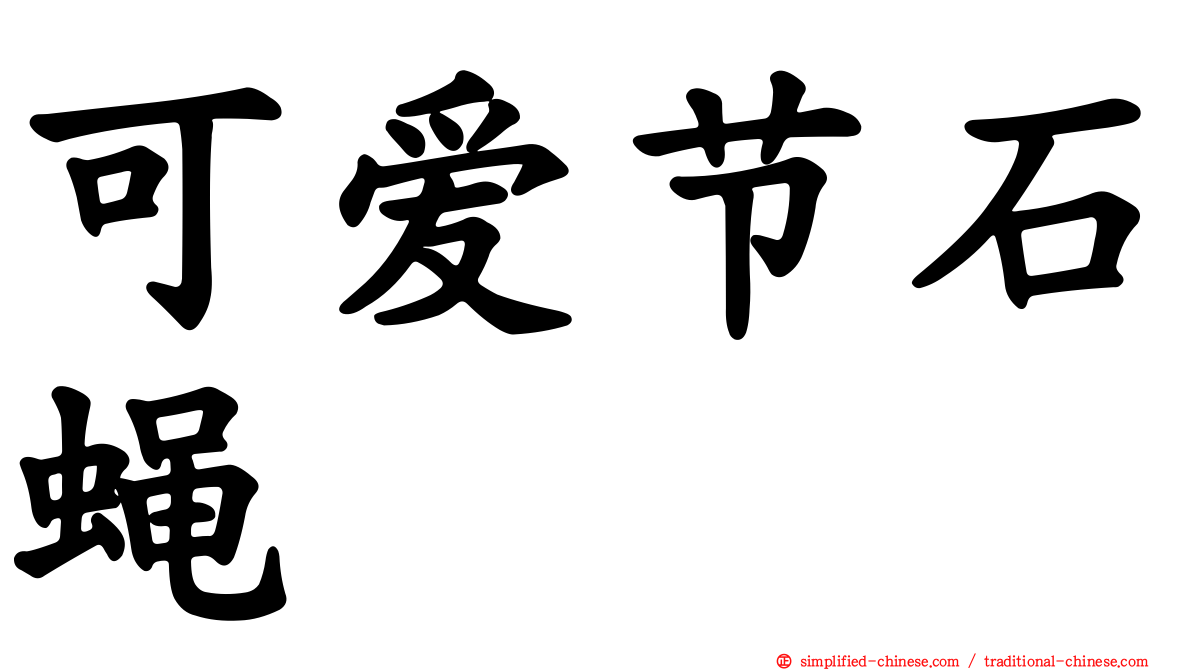 可爱节石蝇