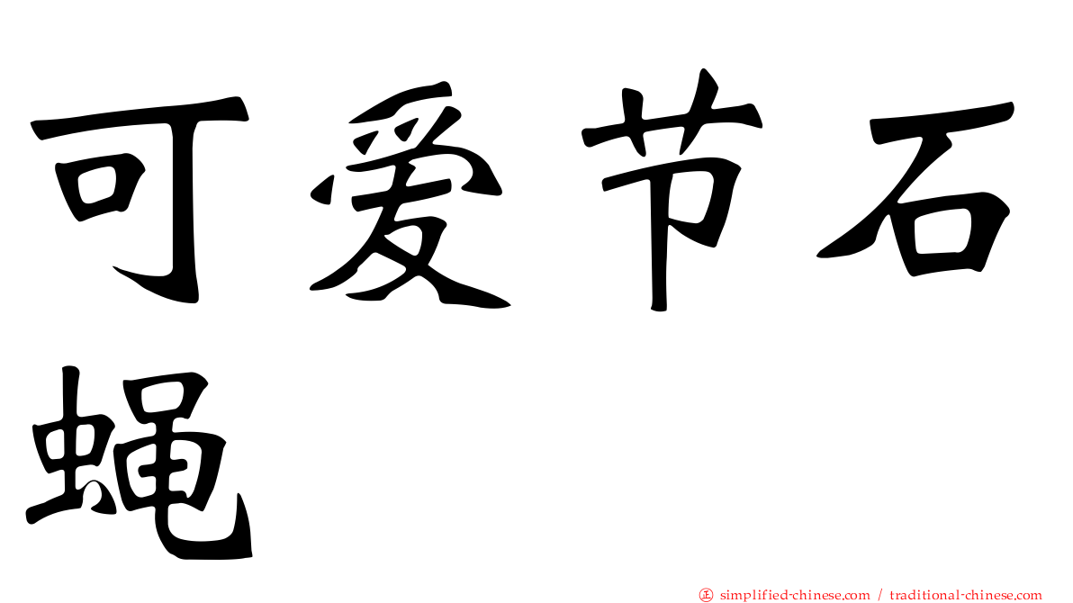 可爱节石蝇