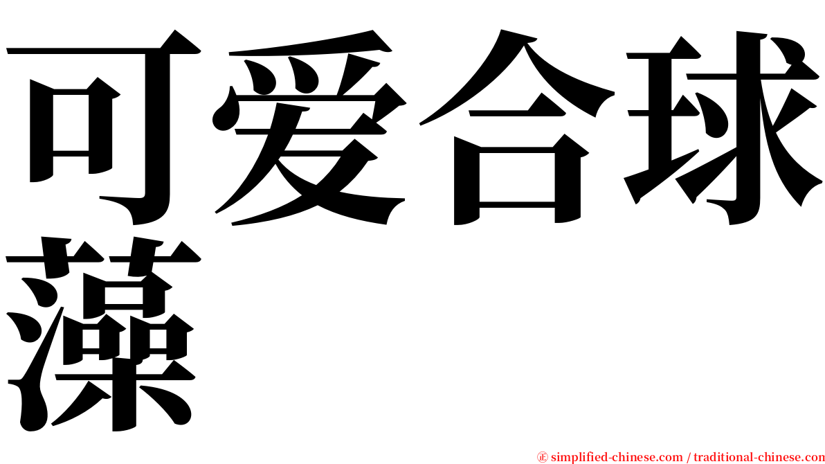 可爱合球藻 serif font