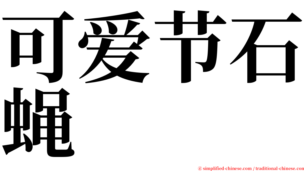 可爱节石蝇 serif font