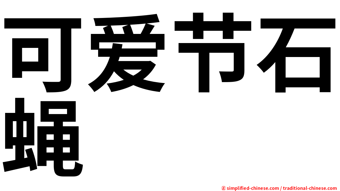 可爱节石蝇