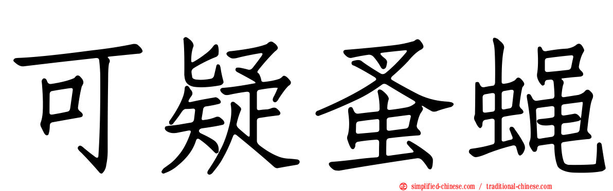 可疑蚤蝇