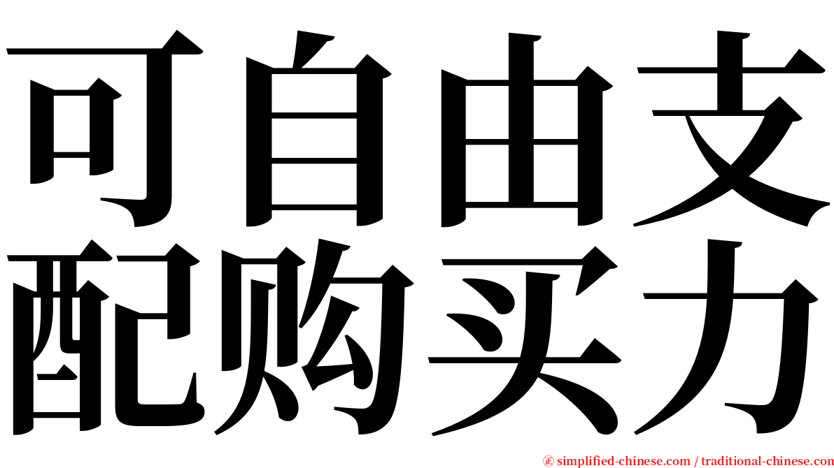 可自由支配购买力 serif font