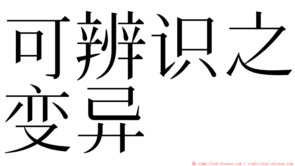 可辨识之变异 ming font