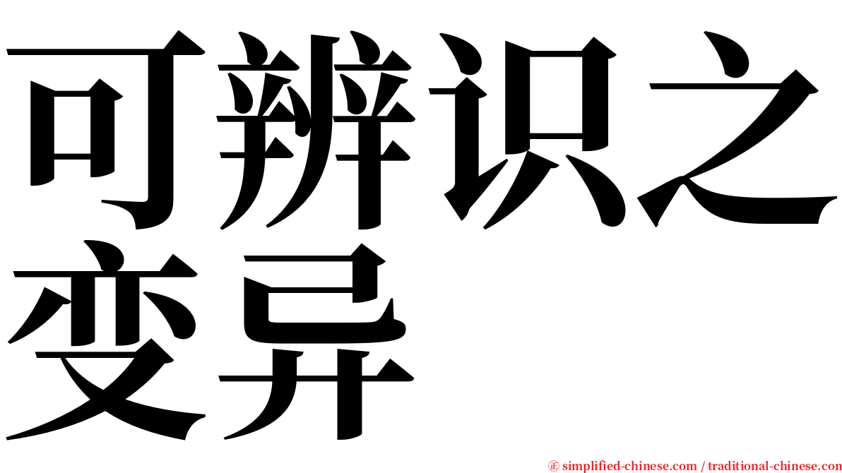 可辨识之变异 serif font