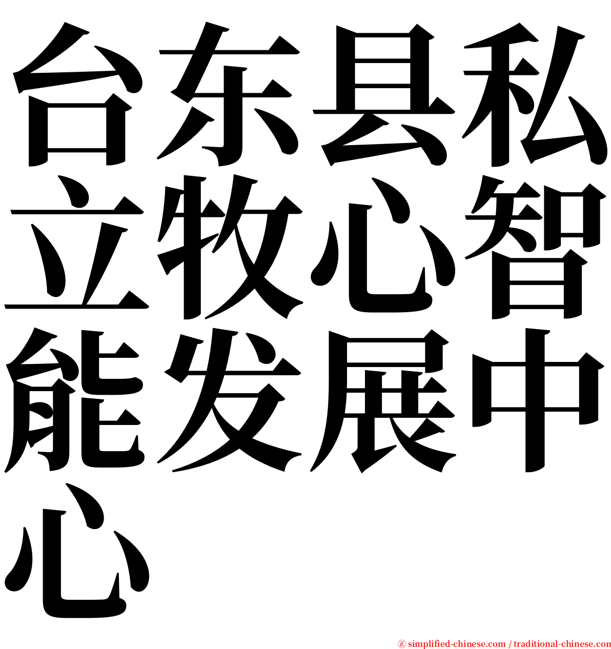 台东县私立牧心智能发展中心 serif font