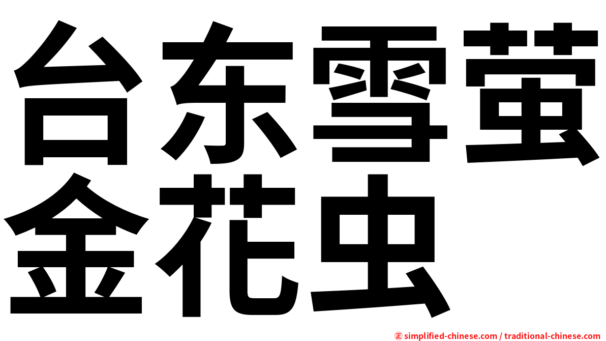 台东雪萤金花虫