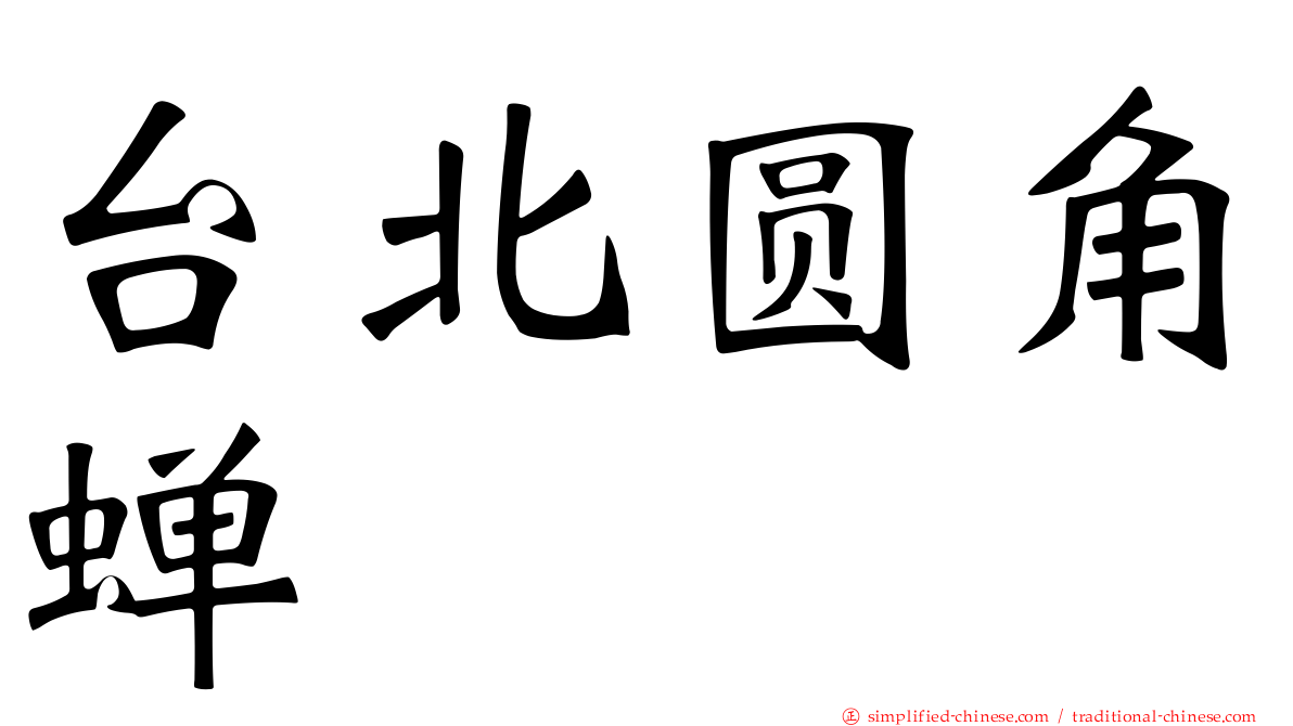 台北圆角蝉