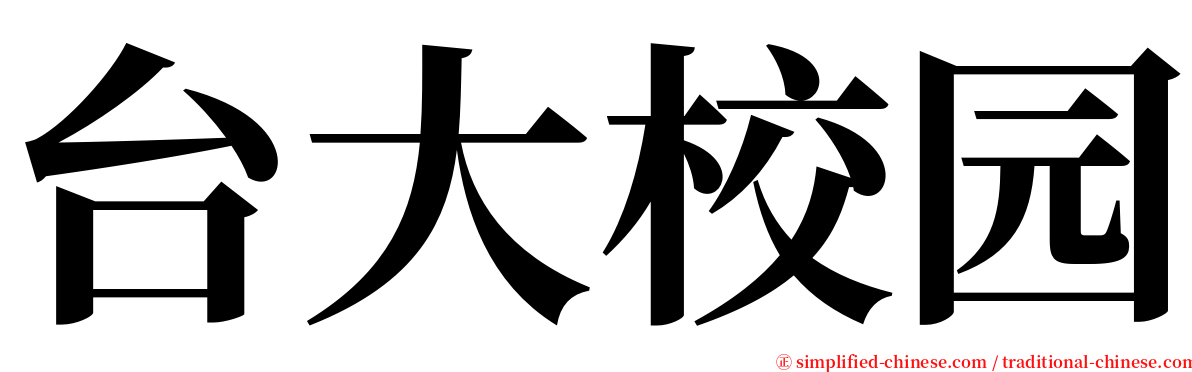 台大校园 serif font
