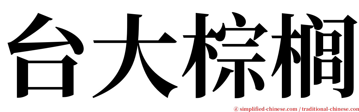 台大棕榈 serif font