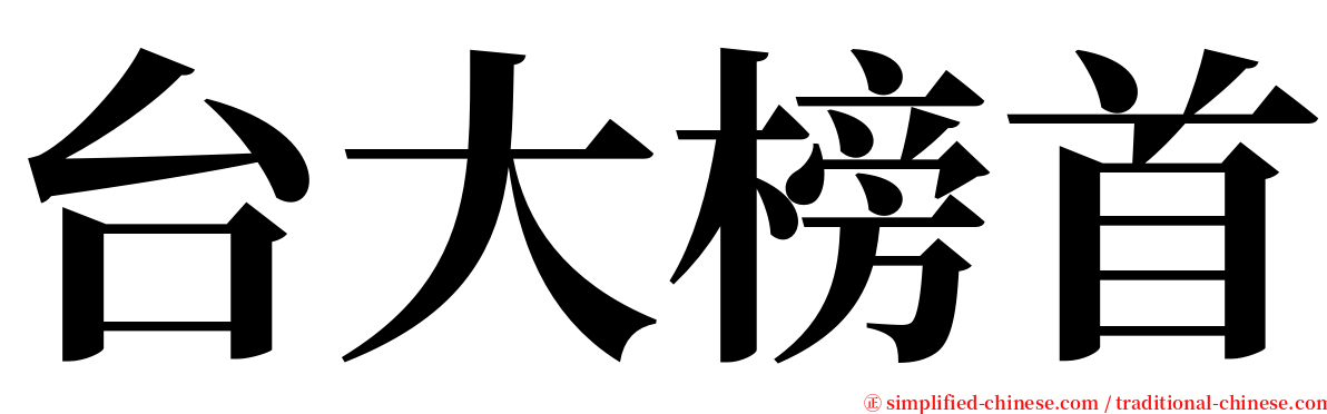 台大榜首 serif font