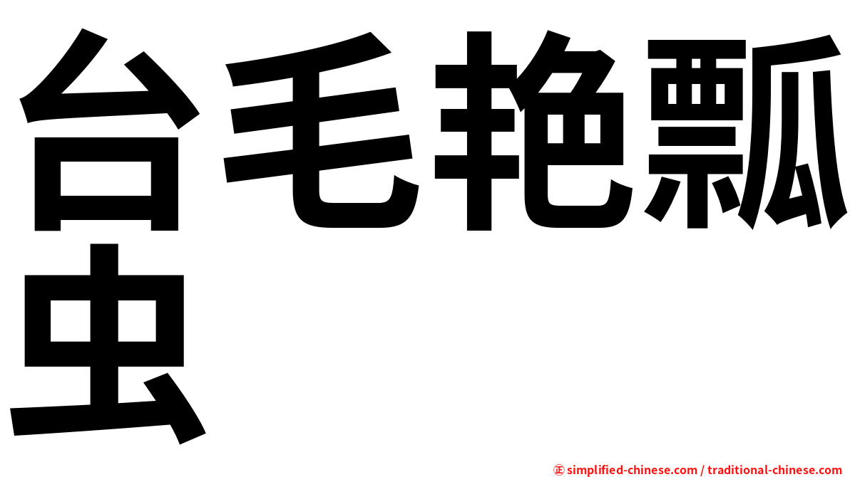 台毛艳瓢虫