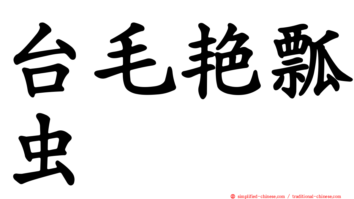 台毛艳瓢虫