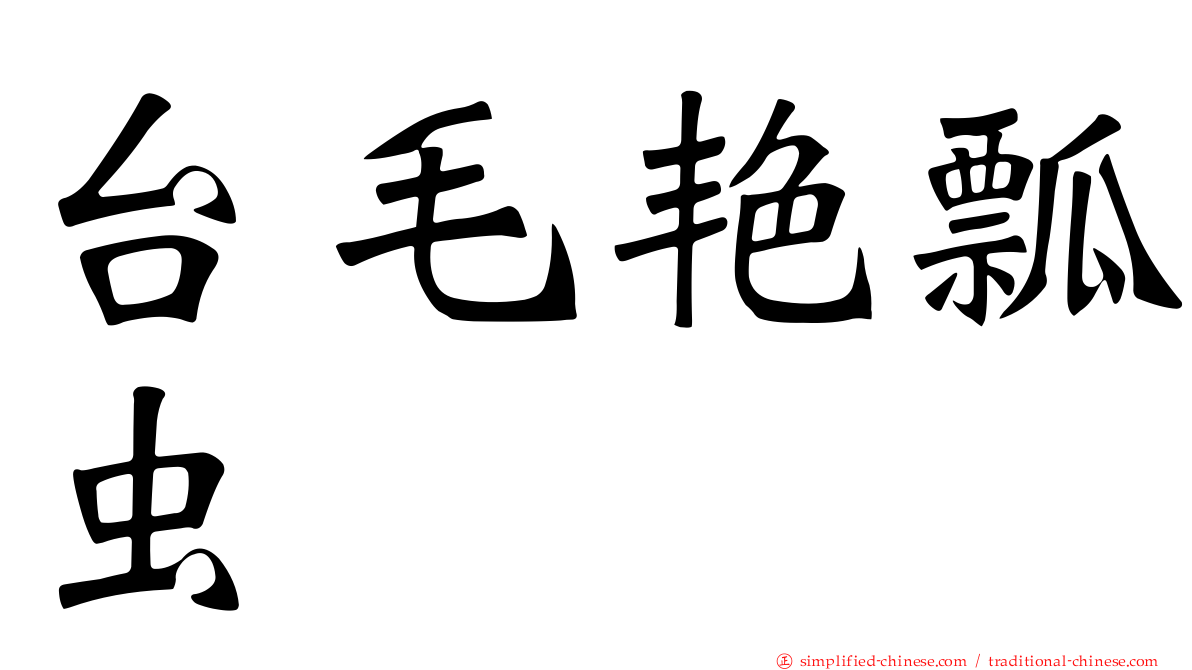 台毛艳瓢虫