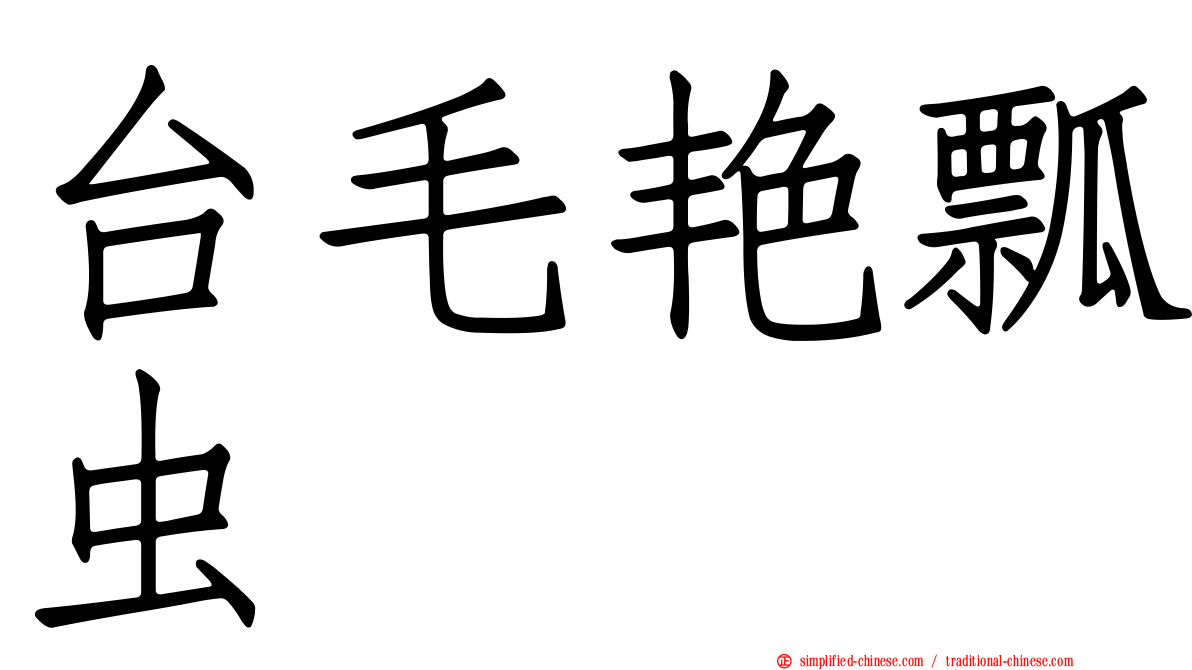 台毛艳瓢虫