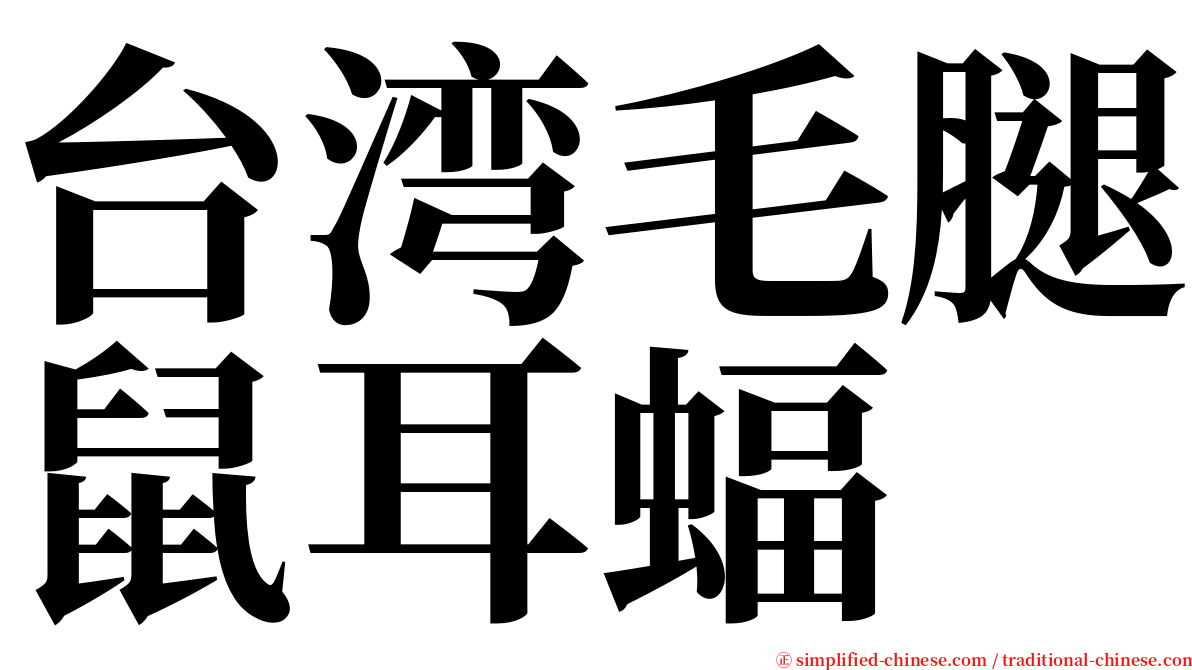 台湾毛腿鼠耳蝠 serif font