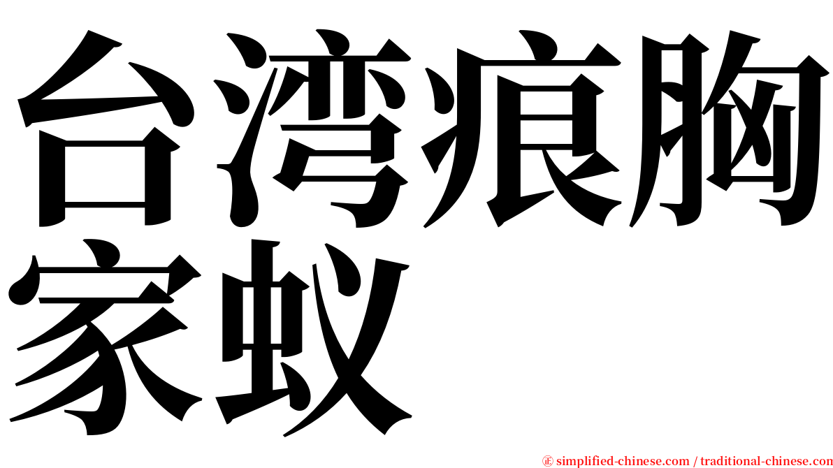 台湾痕胸家蚁 serif font