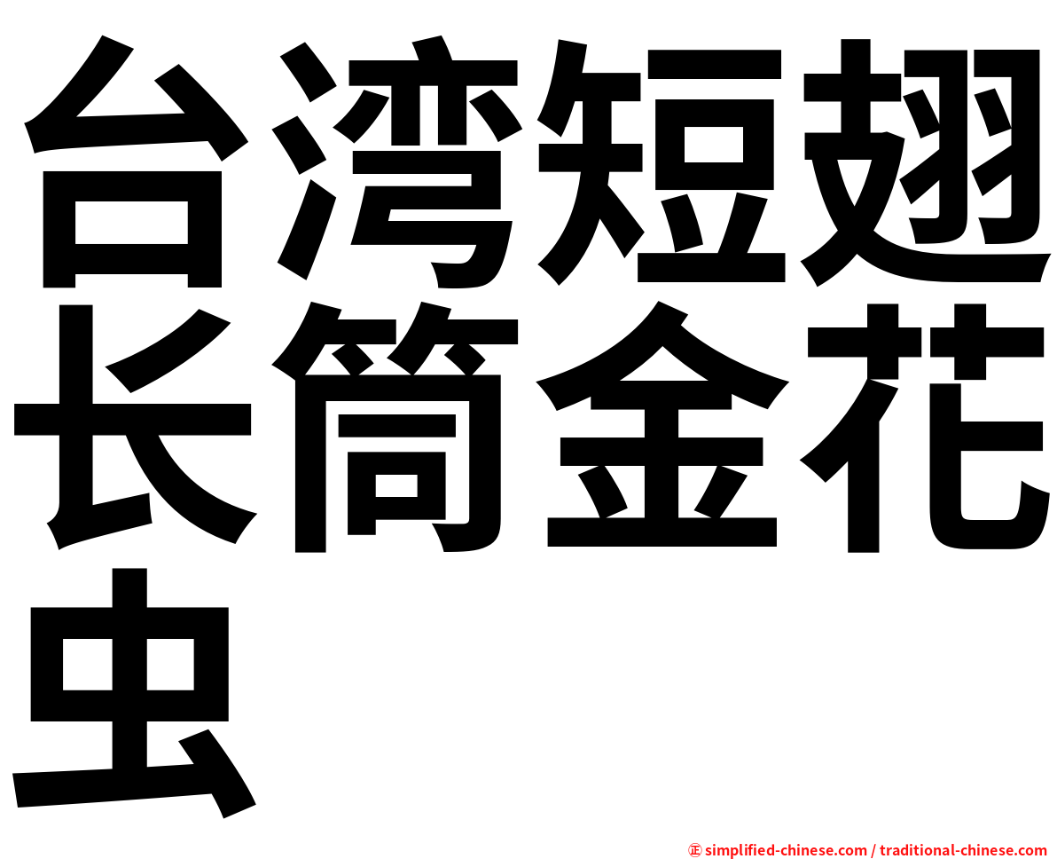台湾短翅长筒金花虫