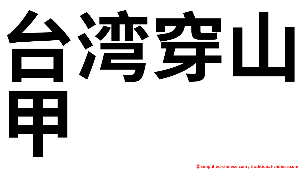 台湾穿山甲