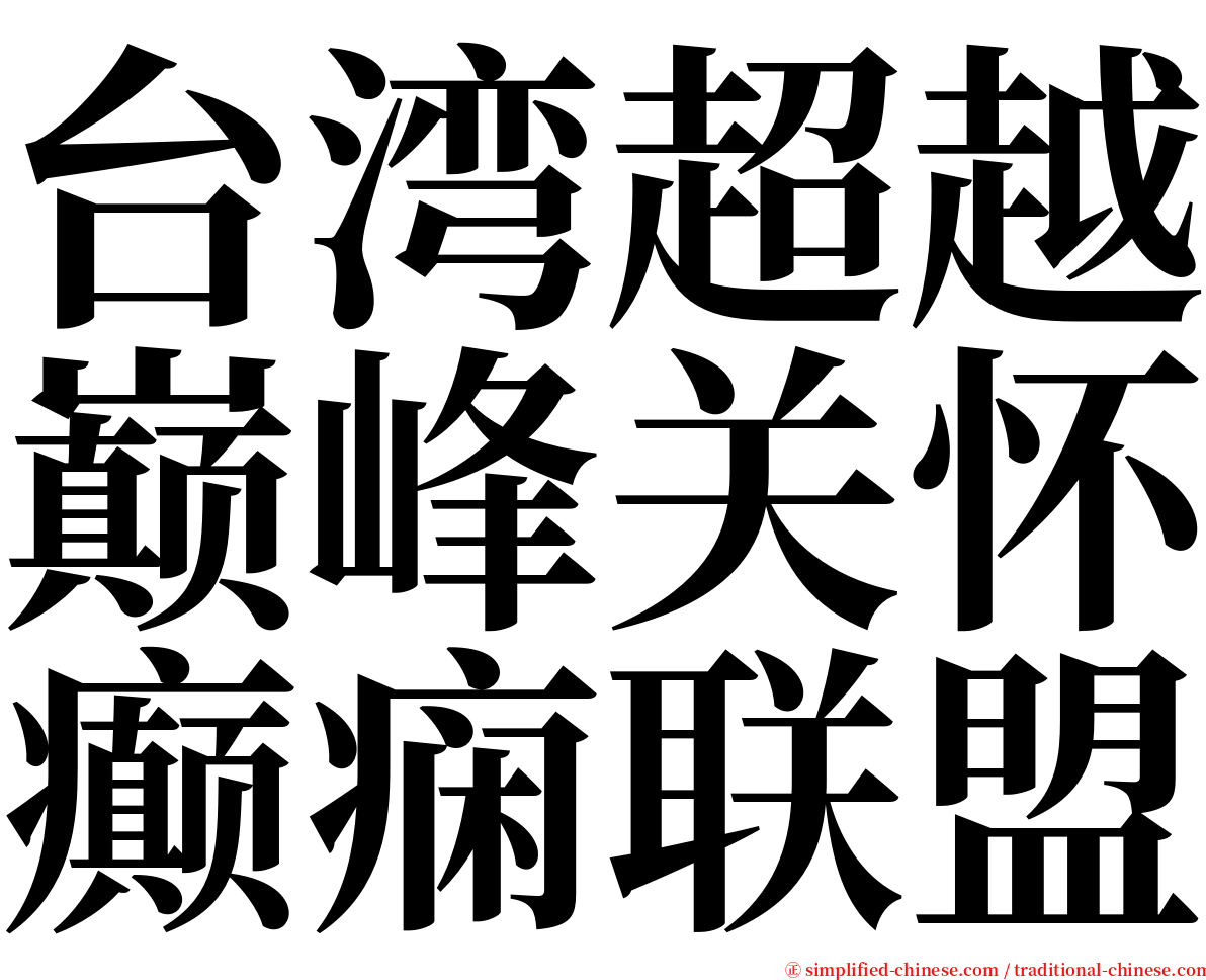 台湾超越巅峰关怀癫痫联盟 serif font