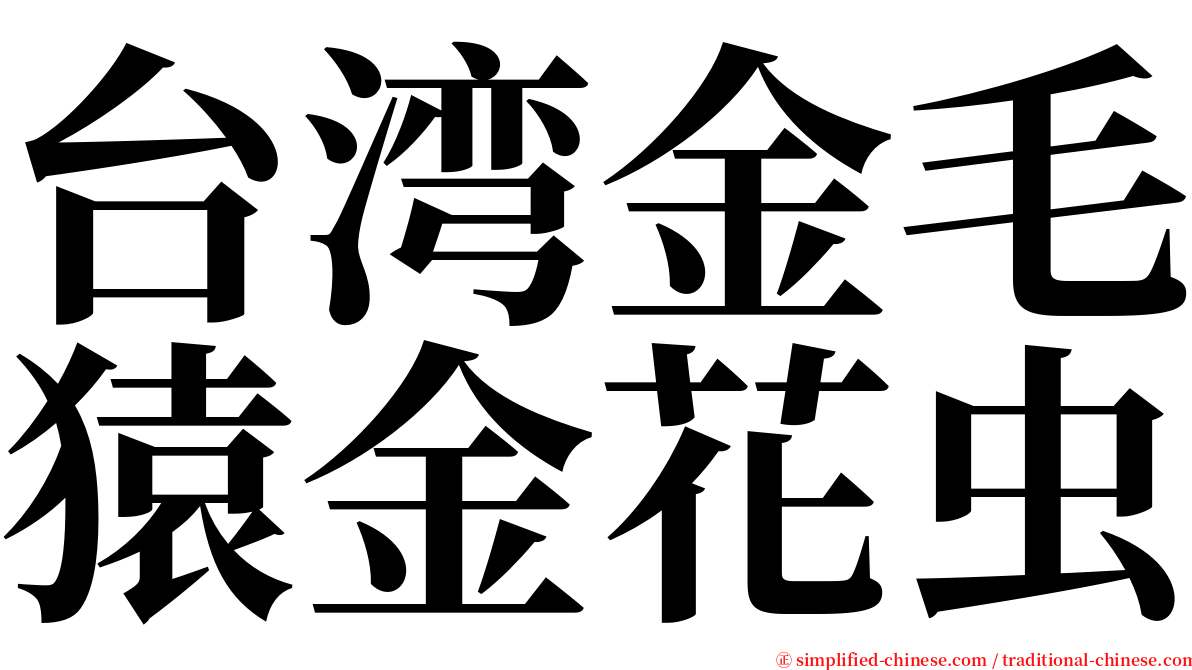 台湾金毛猿金花虫 serif font