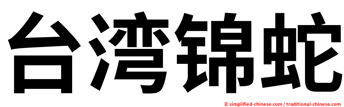 台湾锦蛇