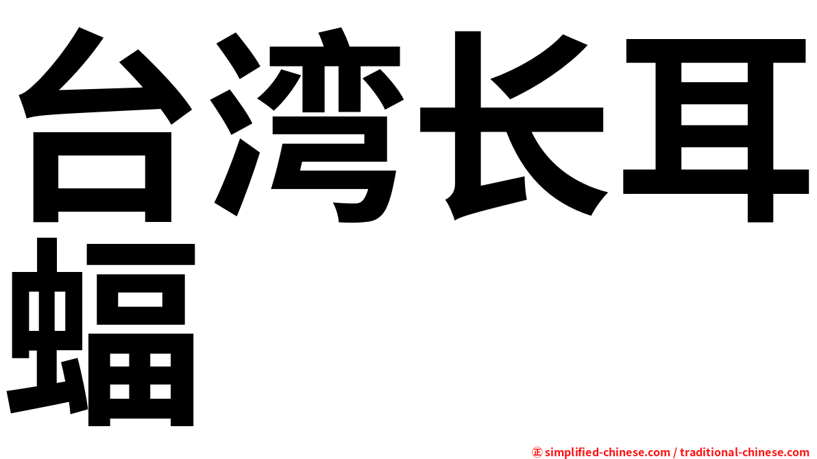 台湾长耳蝠